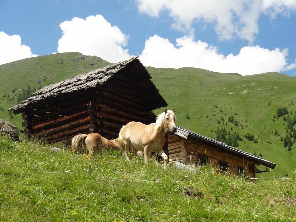 Apartament Gaestehaus Zwischenberger Obervellach Zewnętrze zdjęcie