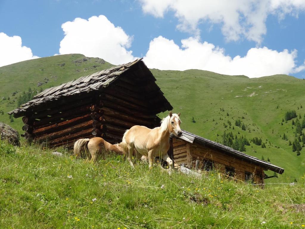 Gaestehaus Zwischenberger Obervellach Zewnętrze zdjęcie